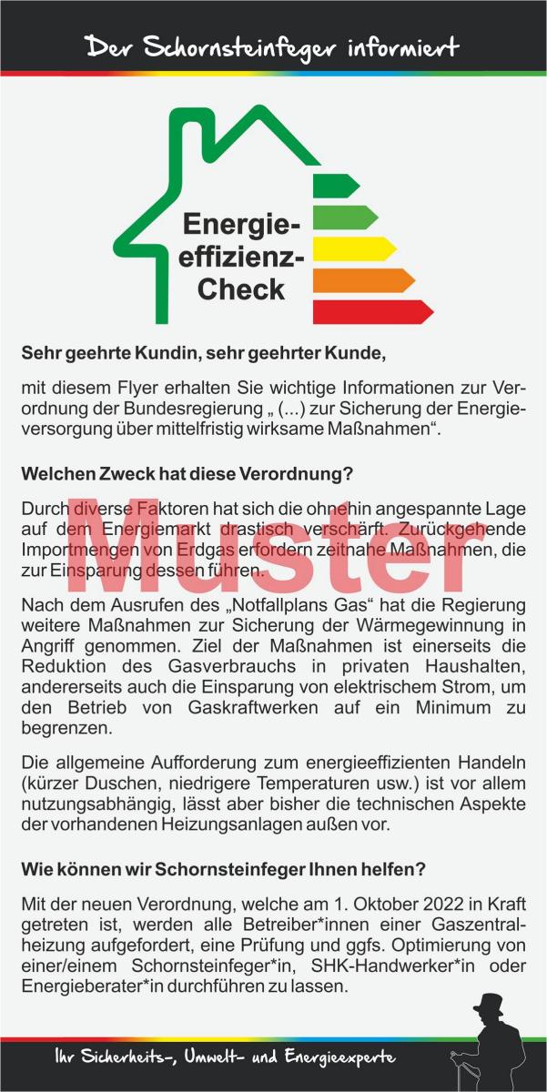 Flyer "Energy Efficiency Check" (100 pieces)
