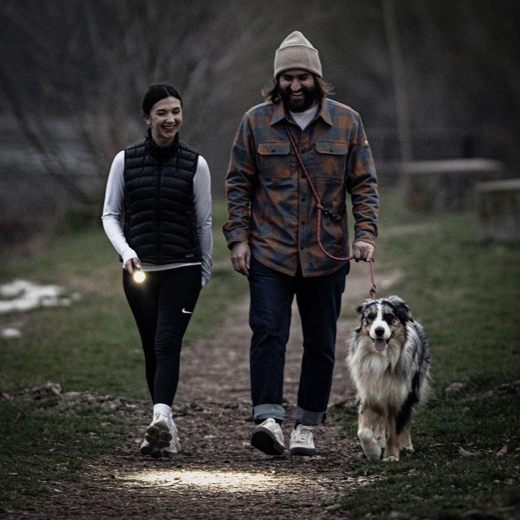 Akku-Lampe LEDLENSER P7R