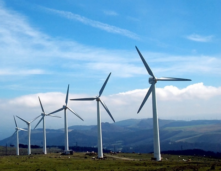 Erneuerbare Energien auf Rekordniveau - 63,4 % im 3. Quartal 2024
