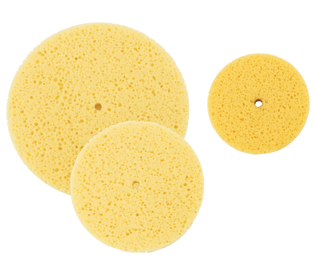 Disques éponge